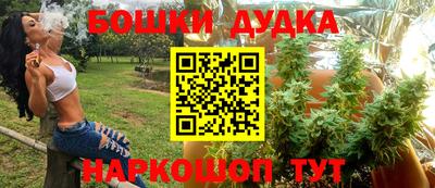 apvp Гусев