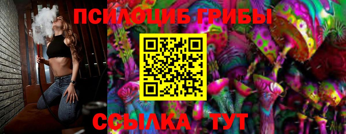 Галлюциногенные грибы прущие грибы  Псилоцибиновые грибы Cubensis  Чайковский  Вход с VPN 